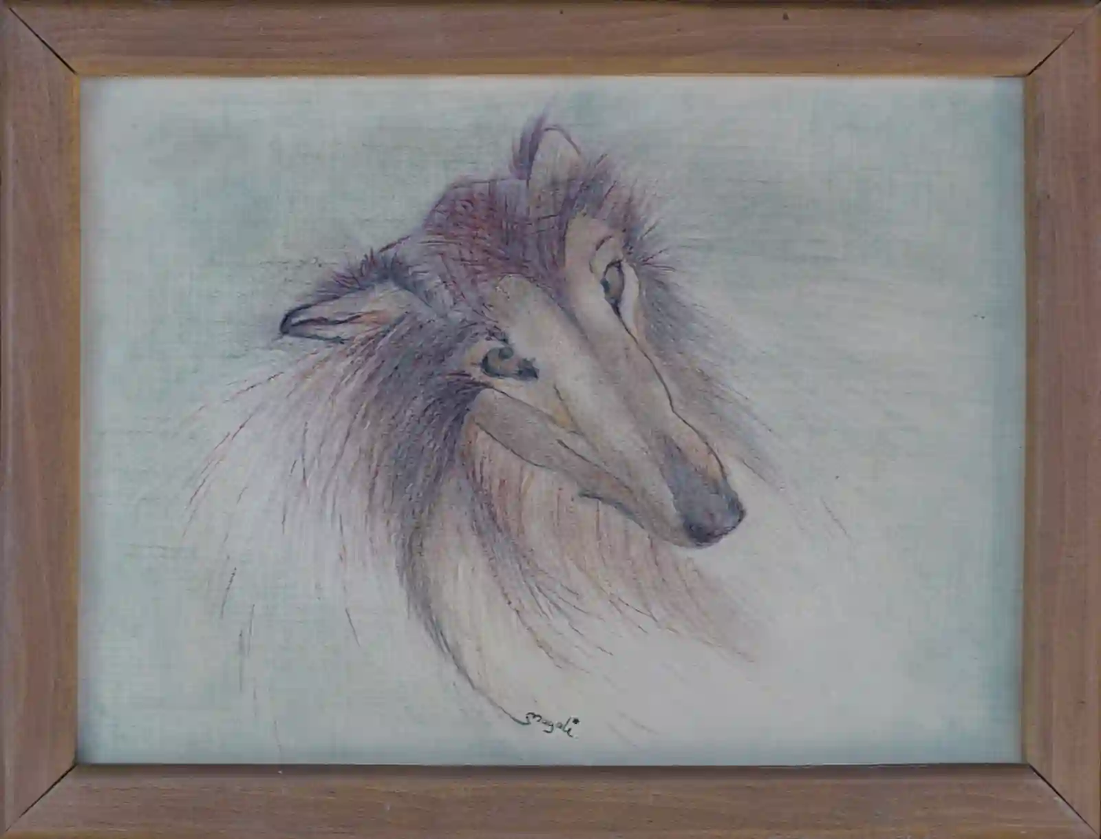 Lévrier, Œuvre de Magali Ferraz